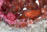 Roselite on Hematite-Included Calcite Crystals - Morocco #44768-2